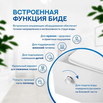 Напольный унитаз Amore di Mare Tronto Bidet N900-X с функцией биде