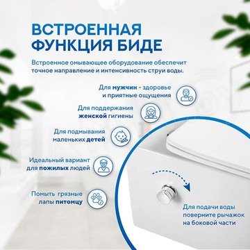 Подвесной унитаз Amore di Mare Temo Bidet P322-X с функцией биде
