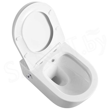 Подвесной унитаз Amore di Mare Temo Bidet P322-X с функцией биде