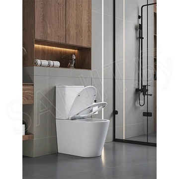 Напольный унитаз Cerutti Piera Tornado CT10560 безободковый с крышкой Soft Close