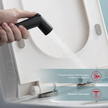 Смеситель встраиваемый Raglo R23.56.06 термостатический с гигиеническим душем