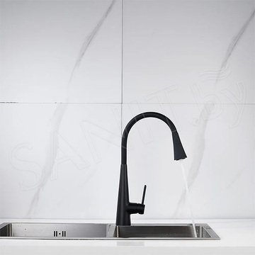 Смеситель для кухонной мойки Rose R213H