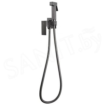 Смеситель встраиваемый Filarete Fing FL101BG с гигиеническим душем