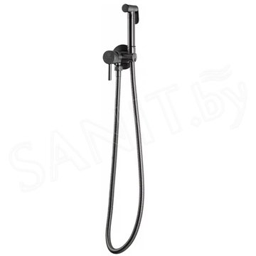 Смеситель встраиваемый Filarete Roun FL100BG с гигиеническим душем