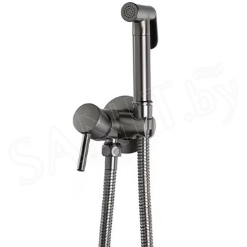 Смеситель встраиваемый Filarete Roun FL100BG с гигиеническим душем