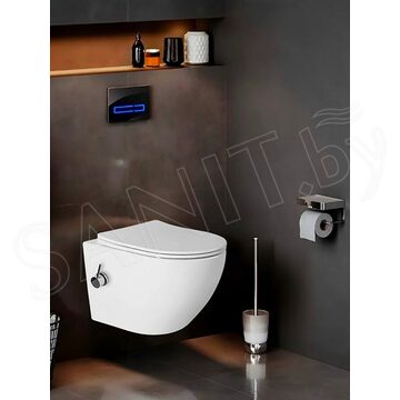Подвесной унитаз Amore di Mare Delio Bidet P203-X с функцией биде