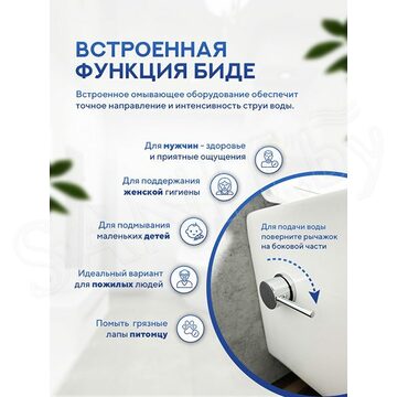 Подвесной унитаз Amore di Mare Delio Bidet P203-X с функцией биде