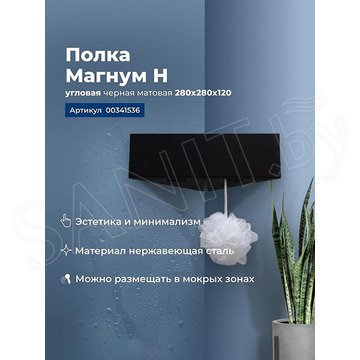 Полка Aquanet Магнум Н угловая черный матовый