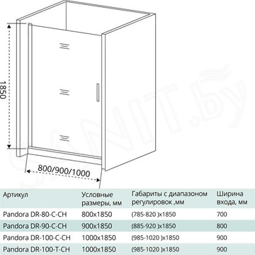 Душевая дверь Good Door Pandora DR-C-CH