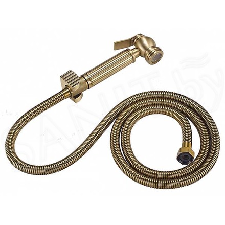 Гигиеническая лейка Zorg Antic AZR 3 LB BR