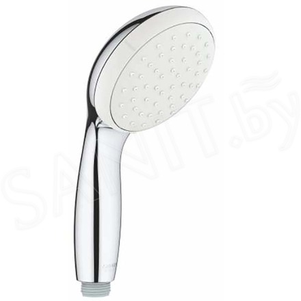 Душевая лейка GROHE Tempesta New I 27852001