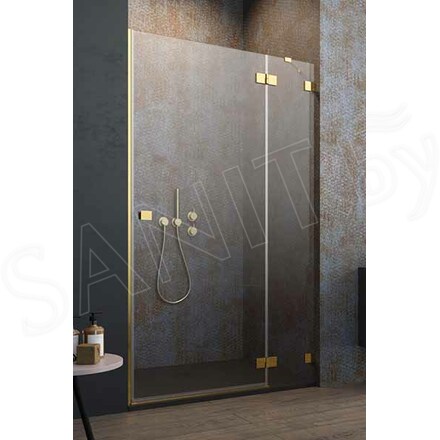 Душевая дверь Radaway Essenza Pro Gold DWJ