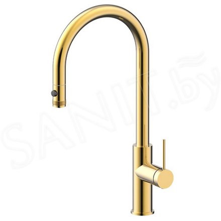 Смеситель для кухонной мойки Paulmark Galant Ga213077-SBG с подключением к фильтру воды