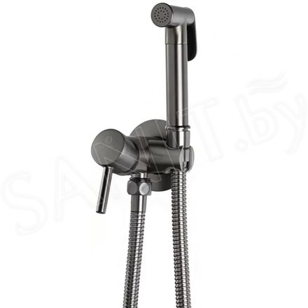 Смеситель встраиваемый Filarete Roun FL100BG с гигиеническим душем